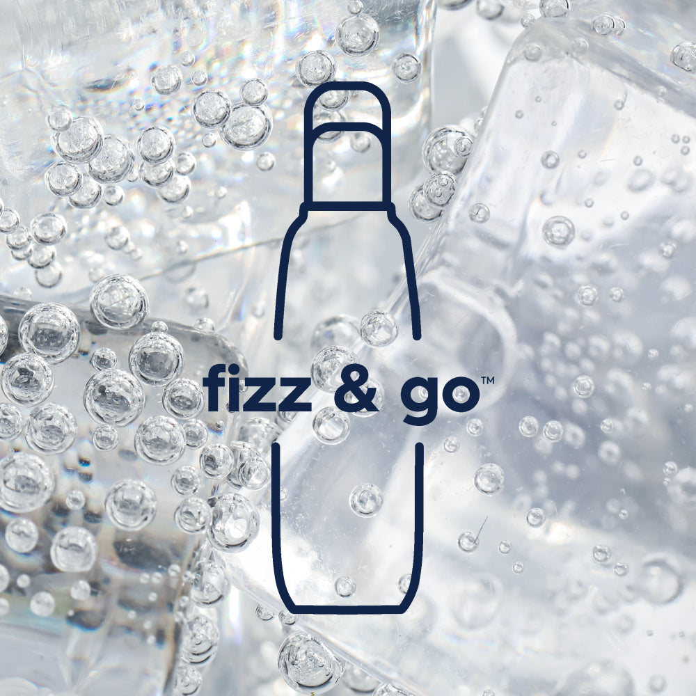 0.9 l Bouteille en acier inoxydable fizz&go Cool ice