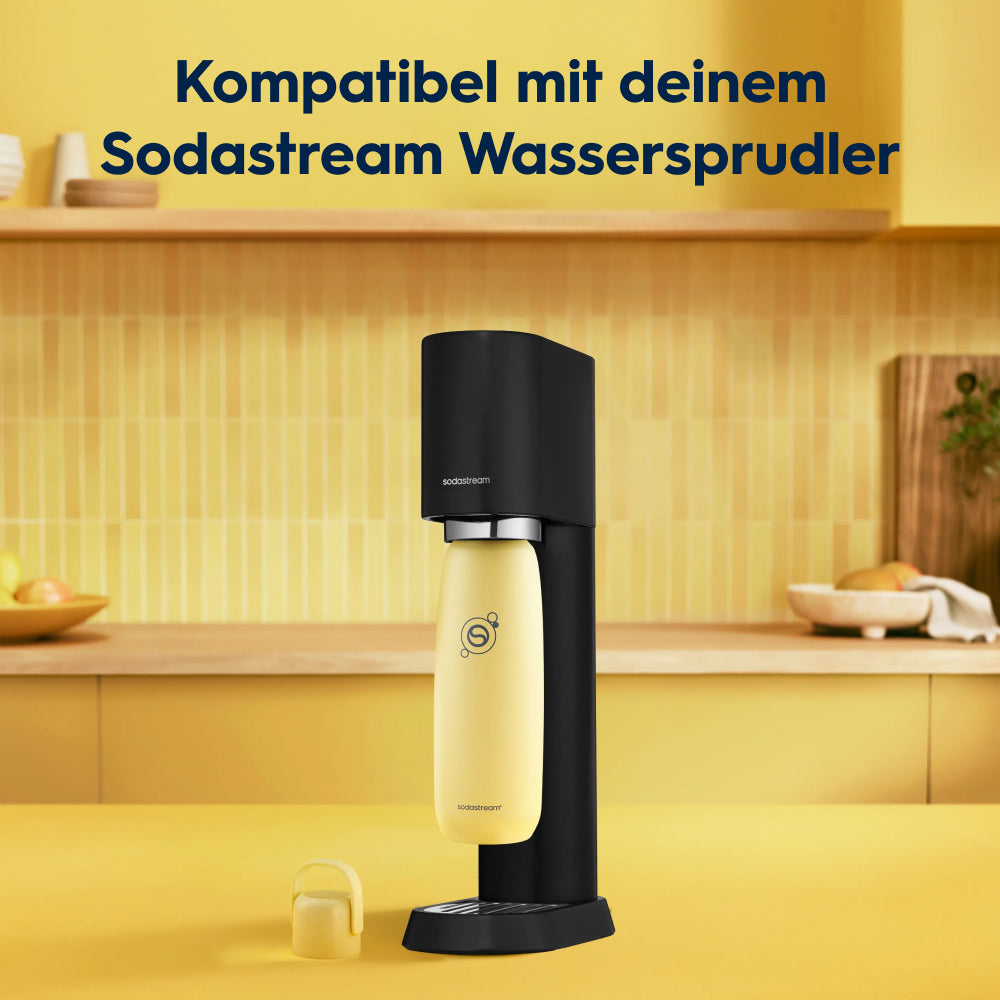 0.9 l Bouteille en acier inoxydable fizz&go Cool lemon
