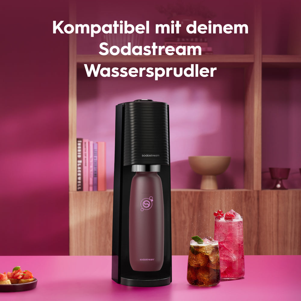 0.9 l Bouteille en acier inoxydable fizz&go Cool pomegranate