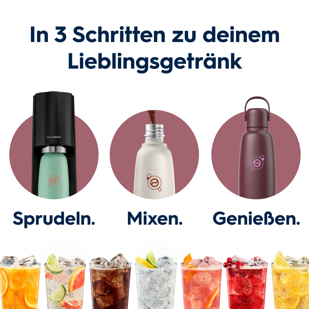 0.9 l Bouteille en acier inoxydable fizz&go Cool pomegranate